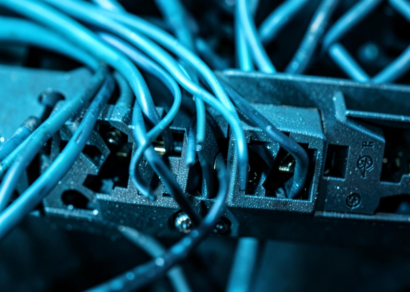 Close-up of network cabling connected to switch ports